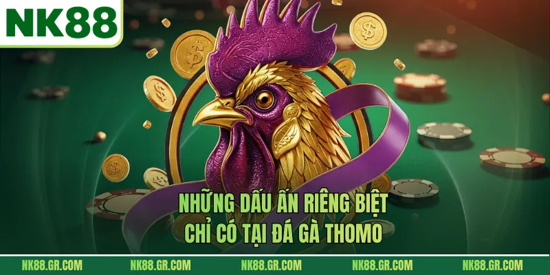 Những dấu ấn riêng biệt chỉ có tại đá gà Thomo