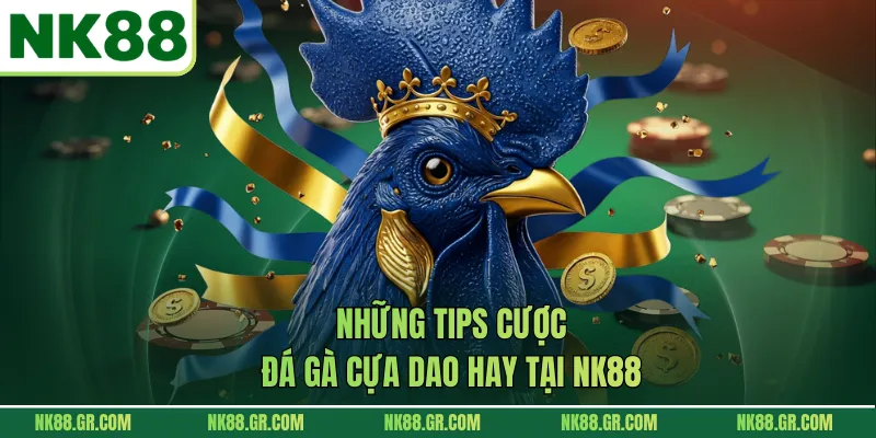 Những tips cược đá gà cựa dao hay tại NK88