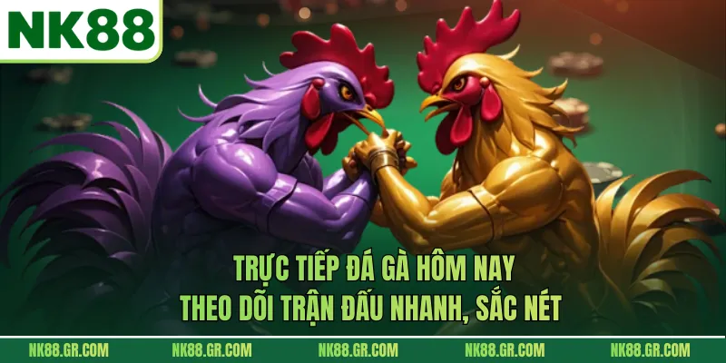 Trực Tiếp Đá Gà Hôm Nay | Theo Dõi Trận Đấu Nhanh, Sắc Nét
